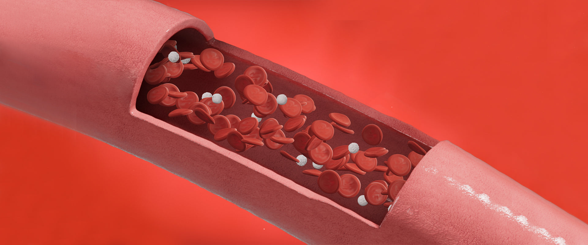 What is Blood Sugar? A Beginner's Guide to Glucose & Your Health